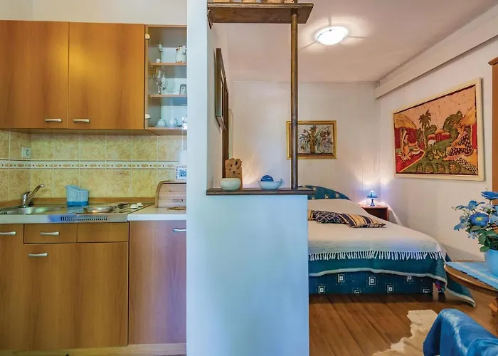 Amazing In Novigrad With Wifi