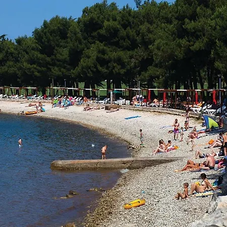 Апартаменты Amazing In Novigrad With Wifi