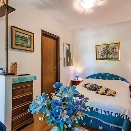 Апартаменты Amazing In Novigrad With Wifi